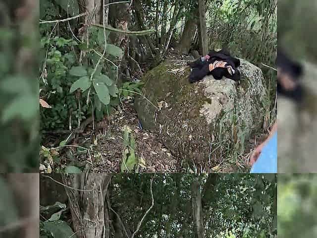 A Short Outdoor Getaway with the Delivery Dude