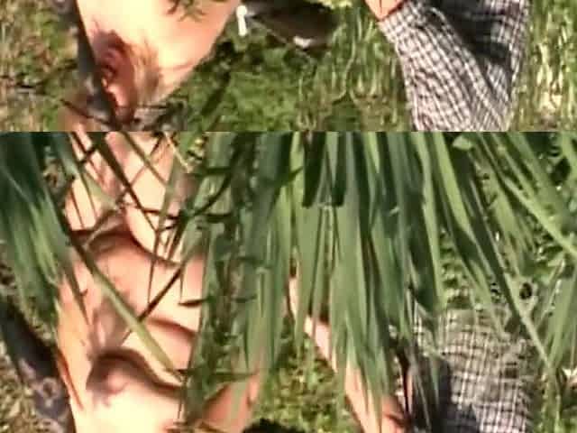 BBW Amanda hardcore outdoor sex