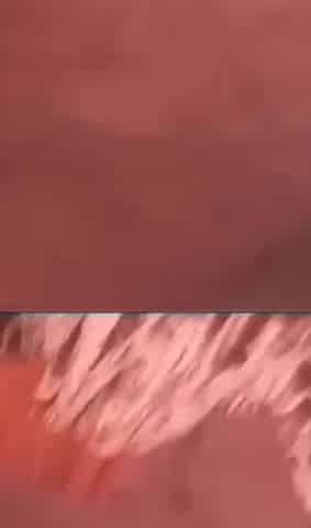 Wife Cheat His Boss