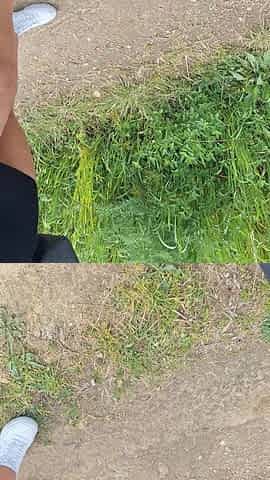 Beautiful Big Ass Latina in Sexy Dress Walks Through the Woods When She Is Surprised by a Neighbor!