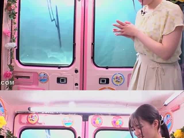 Japanese Babe having sex in the magic mirror van