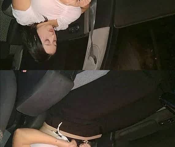A businesswoman mother was caught masturbating outdoors in a car
