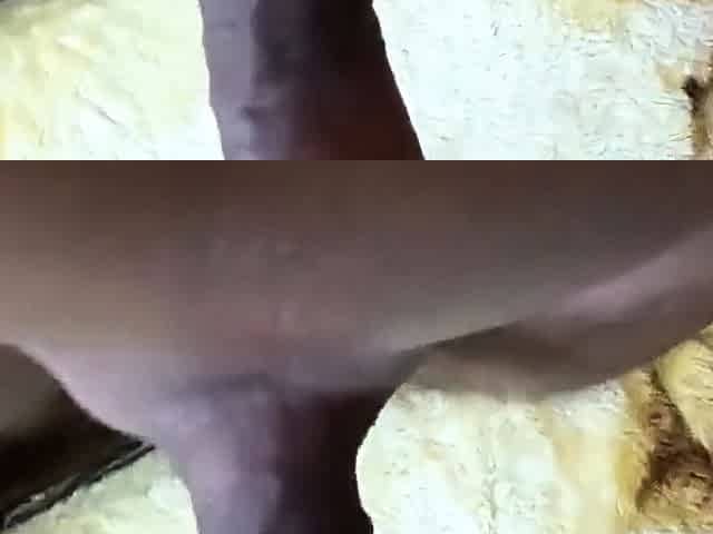 Russian Babe's Homemade Anal Adventure