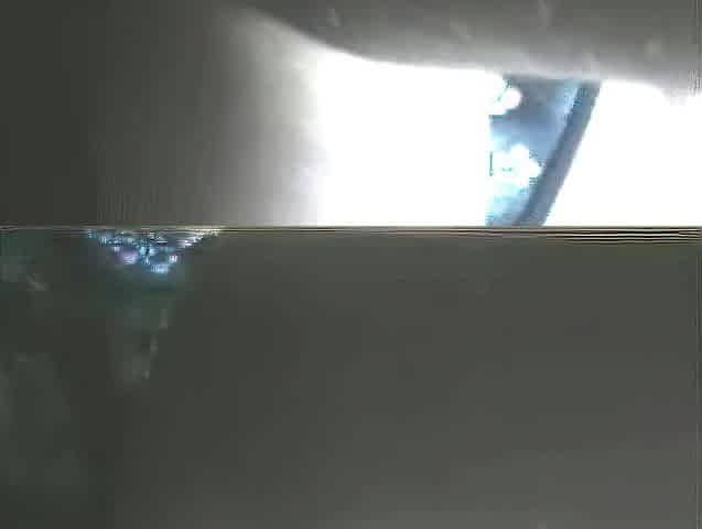 When that babe wore that underware, I already knew that babe wanted some other guy's cock on virtual sex