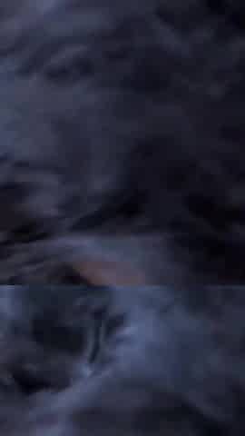 Don't Argue! His Big Dick Can Handle His Girlfriend and His Stepsister