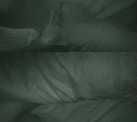 I fondle myself during the night