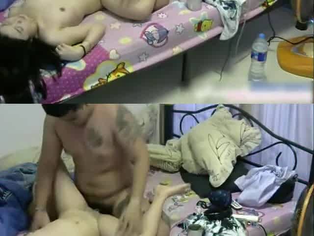 Thai young bear