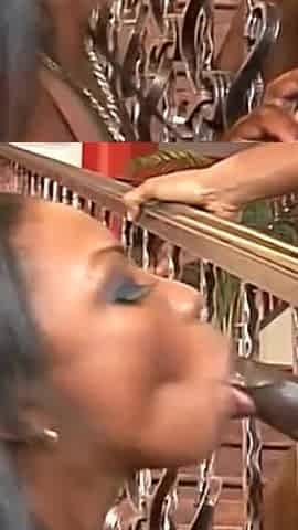 Black on Black Fuck for a Big Black Cock Banging a Black Pussy Doggystyle