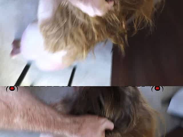Amateur blonde blowjob and deepthroat