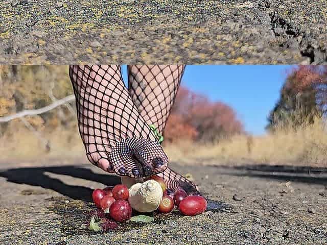 Emo cutie crushing fruit in fishnet clad feet