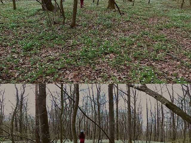 My 1st outdoor sex in the park