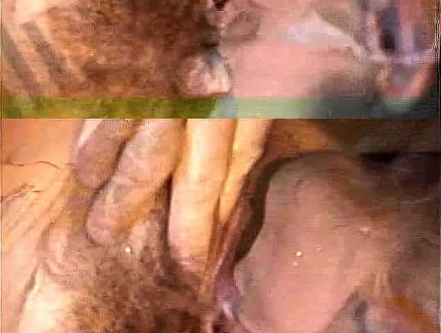 Olivia Ryder Blonde Blowjob Brunette Car Handjob