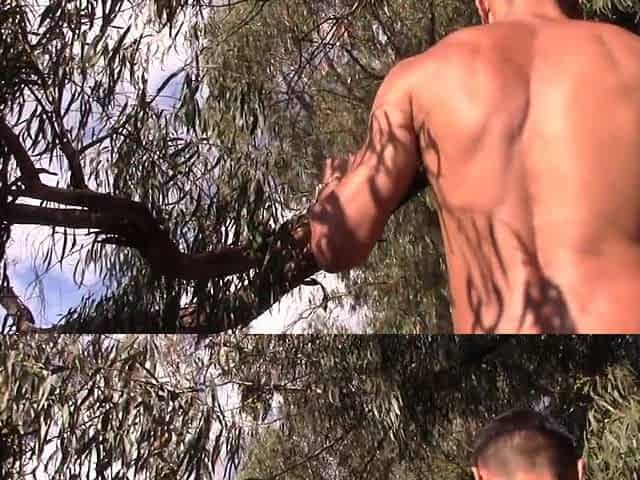 El Chico Solo Quiere Divertirse - Arbol de