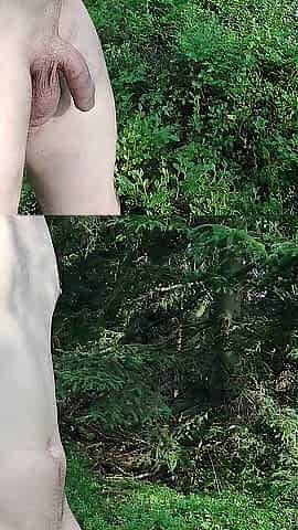 Walk exhibitionist in the forest