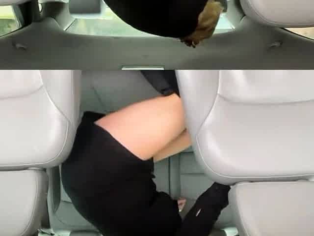 Blonde Babe Squirts in Walmart Car Park