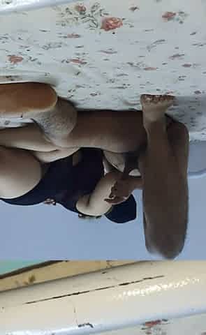 Big Ass Arab