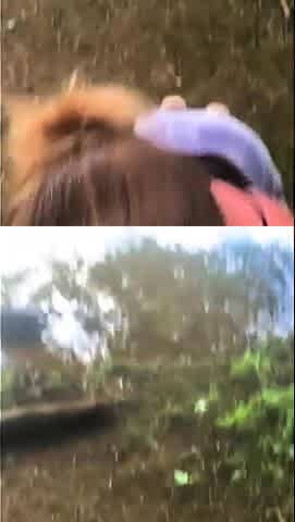 Amateur with Glasses Outdoor Blowjob Facial