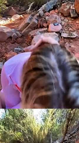 Blonde Blowjob Outdoor