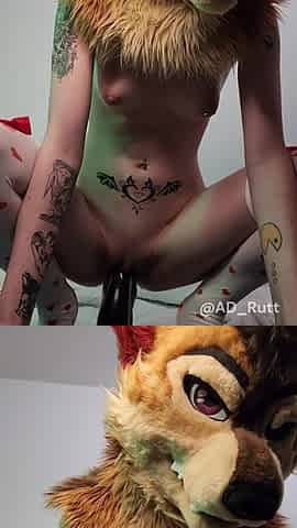 Cute yiff cutie stretches her snatch bouncing on thick horsecock