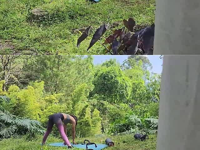 A Guy Who Was Walking Through the Farm Sees Me Doing Yoga and Ends up Fucking Me.
