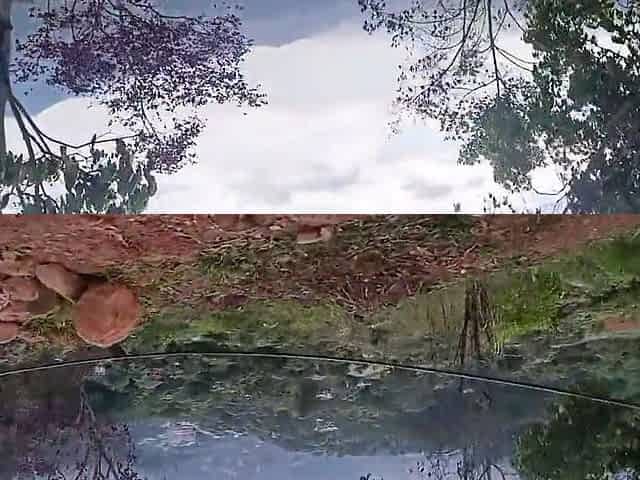One They Take Me To The River And They Make Me Suck And It Comes In My Face.. I Love Nature