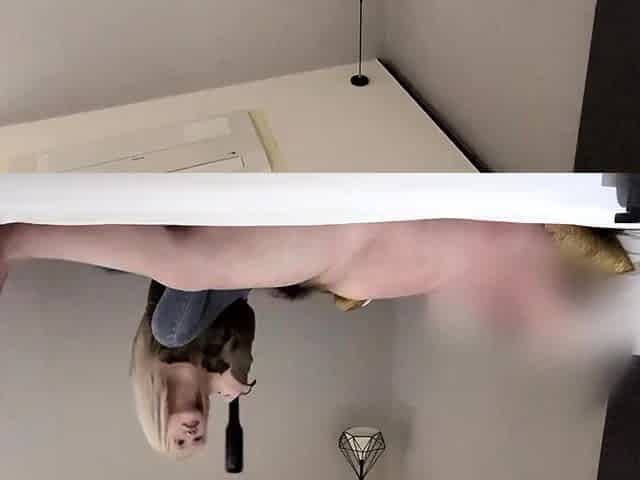 Gorgeous blonde housewife hardcore anal pounding in kitchen
