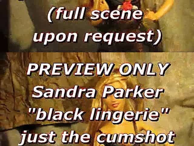 PREVIEW: Sandra Parker (ebony underware) blasted