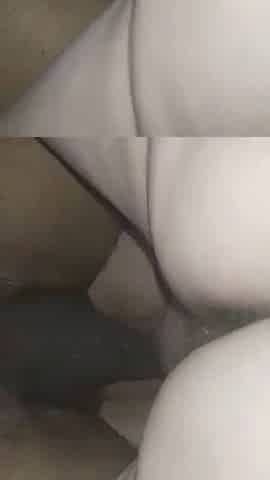 DP Party