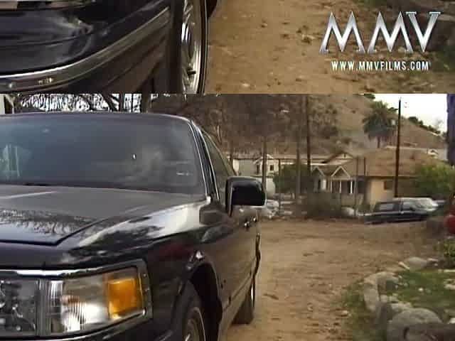 Hot horny blondes - MMVfilms