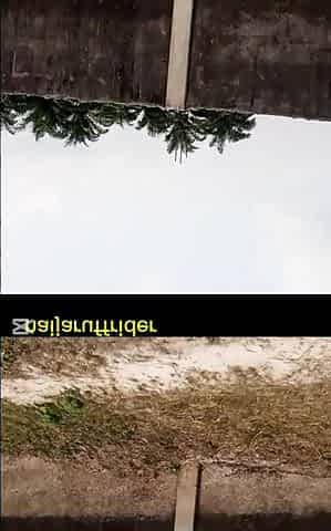 I drilled the marvelous gal that lost her way in the bush
