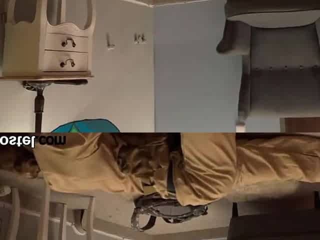 Hostel Bitches Fuck In Threesome With Horny Roommate