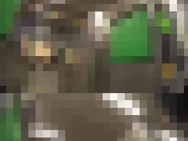 purupuru-fuck-koda-1519