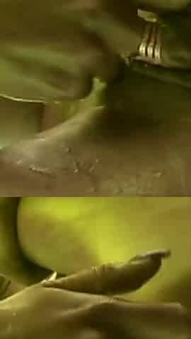 Lesbian Sensations - Part 05