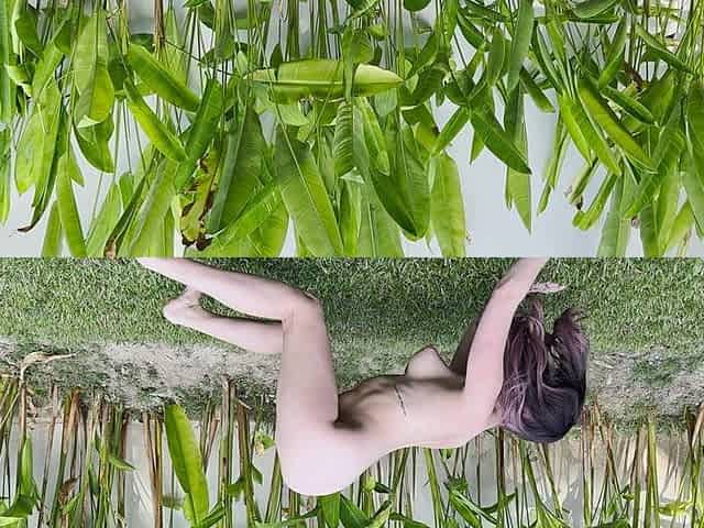 Tropical Outdoor Full Body Flow to Start the Day - Grey Desire