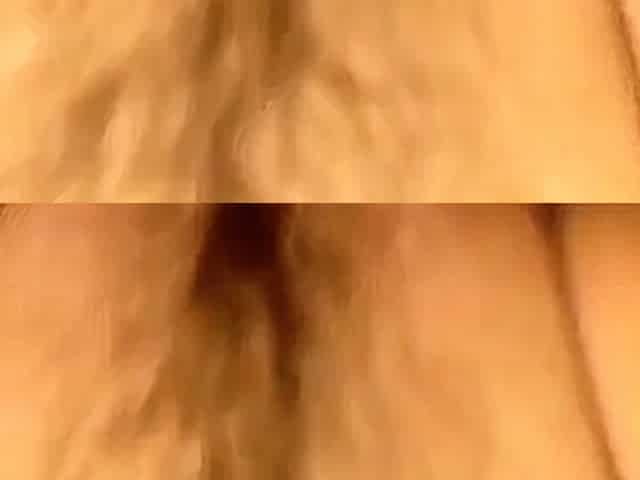 American Amateur Blonde Homemade Sex Tape