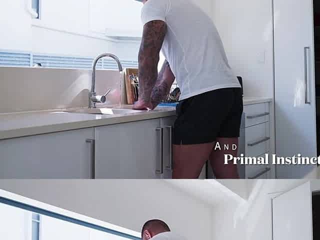 Lewd Golden-haired Housewife Screwing a Large Dick