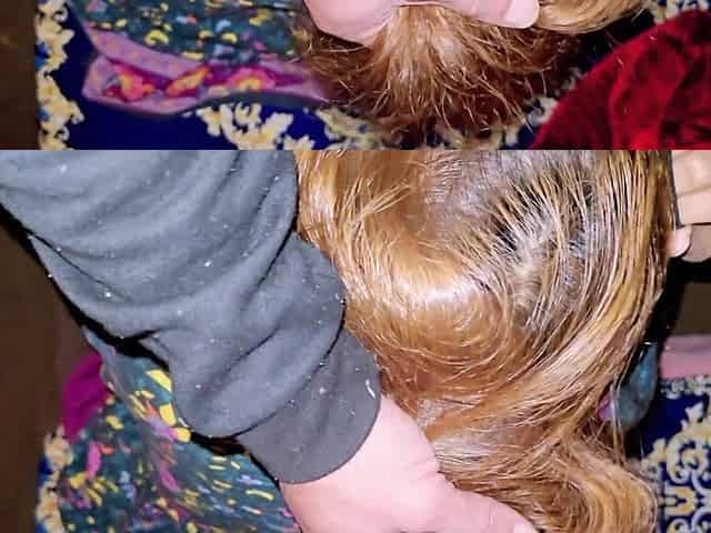 Desi Indian Bhabi Gives Sloppy Blowjob