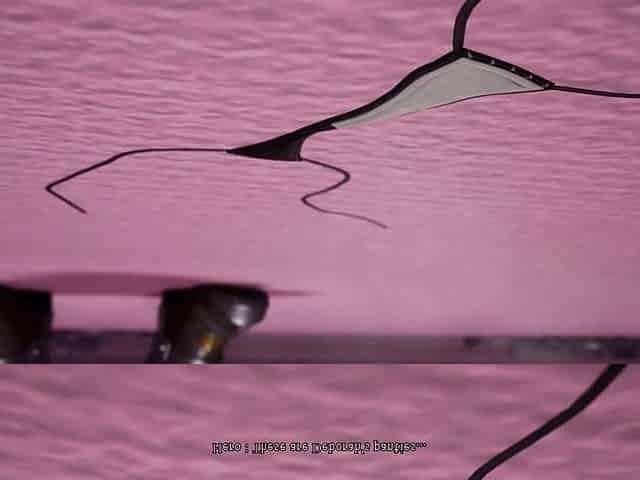 Pants Theif