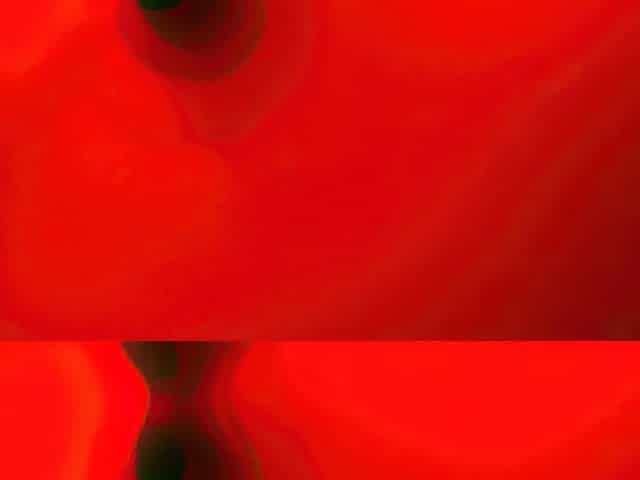 Intimaly Gopro Endoscopy Combo With Tserica Vibrator Inserted Grinding Shlong In Cockblock Frot Pov