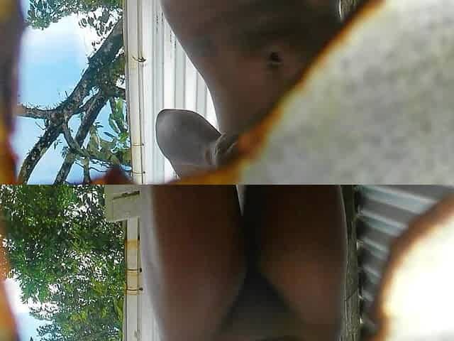 Captured on Amateur Camera