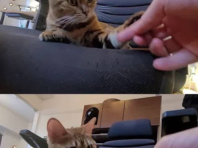 A Compilation of That Get U Concupiscent
