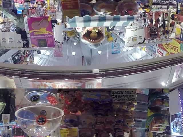 Amateur couple hidden cam