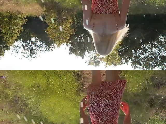 Sneaky banging in public park