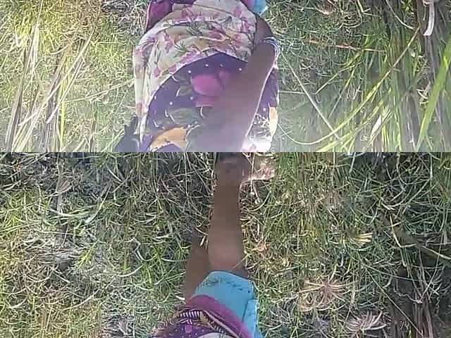 Indian Desi Porn Scene in Sugarcane Garden