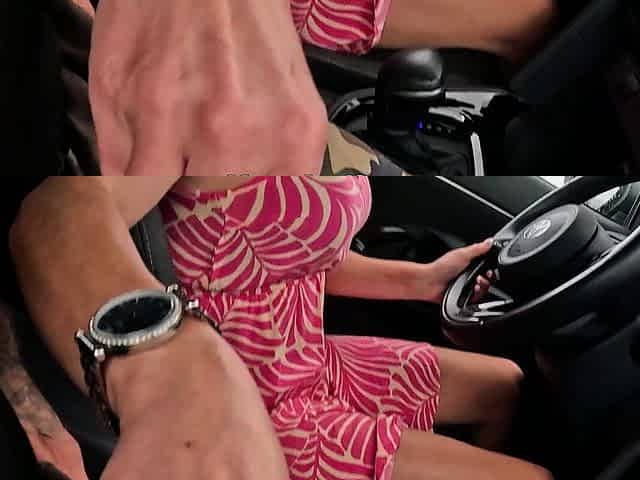 German blonde milf Wild Bunny makes blind date in the car