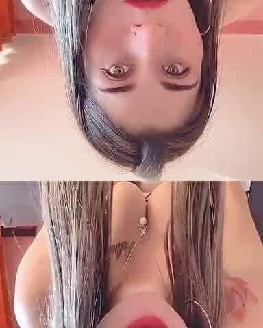 Zorrita chilena