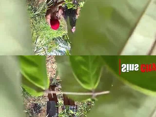 Sex in the bush