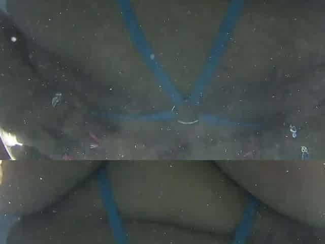 Black BBW hooker porn story