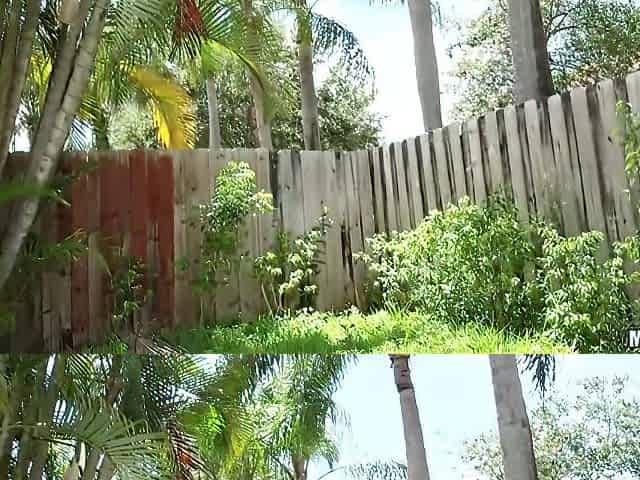 Boner Jam On The Slip N Slide 2 - Alex Mae