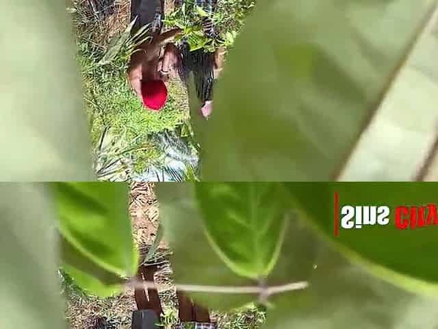 Sex in the bush